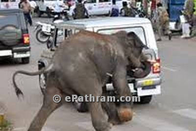 elephant mysore-epathram