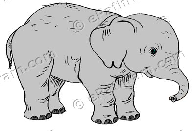 baby-elephant-epathram
