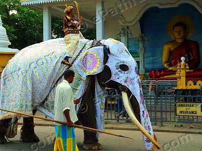 cwg-baton-srilanka-elephant-epathram