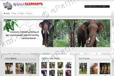 kerala-elephants-website-epathram