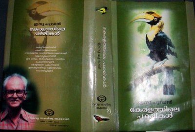 birds of kerala-epathram
