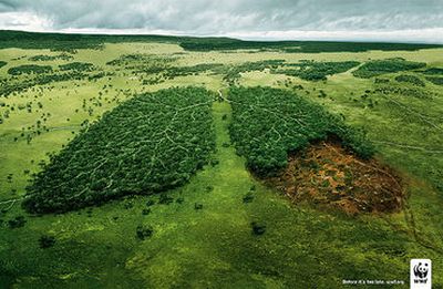 deforestation-epathram