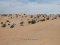 desert-cleanup-drive-epathram-00023